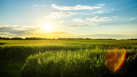 New Americans in Southwest Iowa and Omaha-Council Bluffs