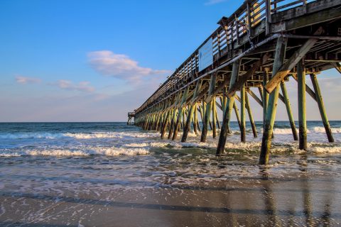 Immigrants in South Carolina’s Workforce (2022 Update)